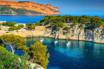 Calanques de Port Pin bay in Cassis near Marseille, France - 260098426