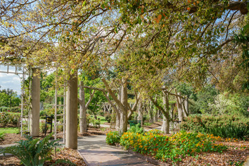 Natural scene around Huntington Library