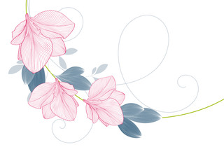 Fototapeta na wymiar Abstract hand drawn floral pattern with amaryllis flowers. Vector illustration. Element for design.