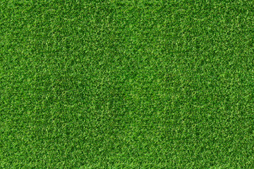 Obraz premium Top view of green grass texture