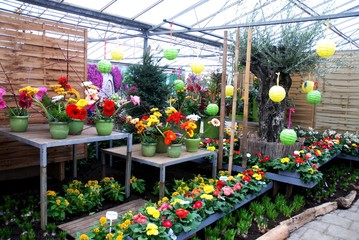 Floralies du château de Groot Bijgaarden (Brabant Flamand- Belgique)