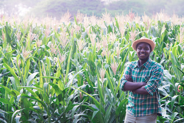 Naklejka na ściany i meble African Farmer with hat stand in the corn plantation field