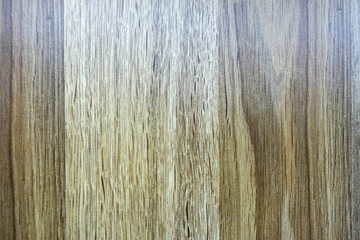 Texture of wood background