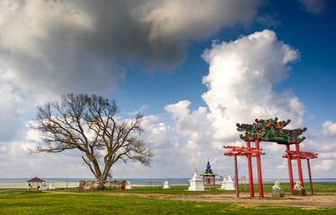 The sacred tree in Kalmykia. A lone poplar on a background of spring sky with white clouds. Steppe.