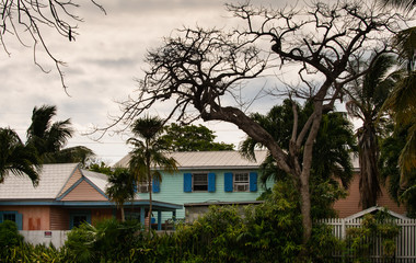 Fototapeta na wymiar Blue and pink houses on a tropical island 