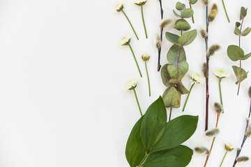 Spring flower arrangement on a white background with place for text, top view
