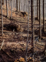 Górskie szlaki © amadeusz