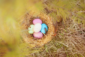 Happy Easter. Colorful Easters eggs in a nest with feathers.