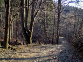 Górskie szlaki © amadeusz