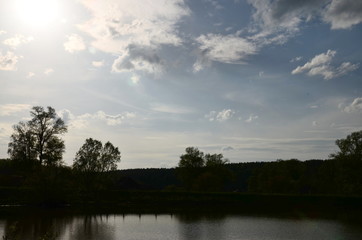 Fototapeta premium Summer landscape, pond and forest on the horizon.