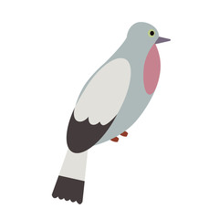 grey forest bird flat illustration