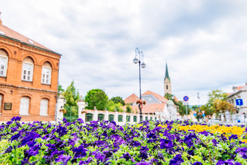 Fototapeta na wymiar cityscape view of zagreb. street with flowers church tower on background