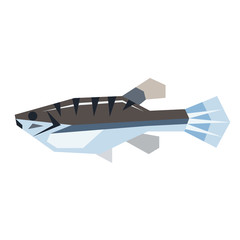 sea fish flat illustration