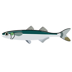 grey fish flat illustration