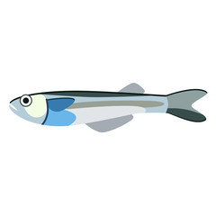 blue fish flat illustration