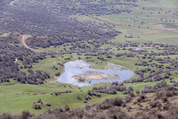 A photo of nature of Iran, Gilan, Asia