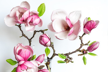 beautiful spring magnolia flowers. holiday or wedding background - obrazy, fototapety, plakaty