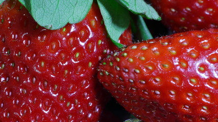 Fresas close up primer plano