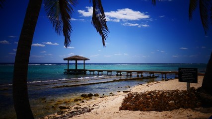 The beauty of the CAYMAN ISLANDS