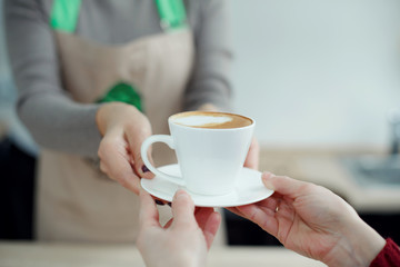 Barista in apron in coffee shop give just brewed fresh coffee to customer