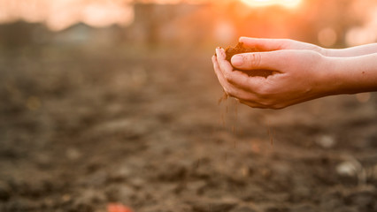 Farmer's hands hold a handful of fertile land, close-up