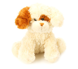 toy dog isolated on a white background
