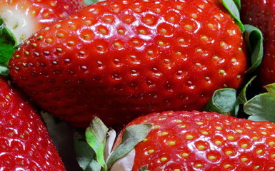 fresas primer plano