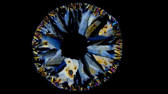 The beautiful formation of crystals under the microscope, a drop of solution of Paracetamolum, the effect of polarization allows you to see different colors 4K