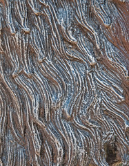 Gray concrete texture background. Damage. Cracked stone wall background.