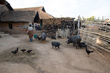 The villager in Kengtung built their house with mud bricks and wooden roof. This icture show the...