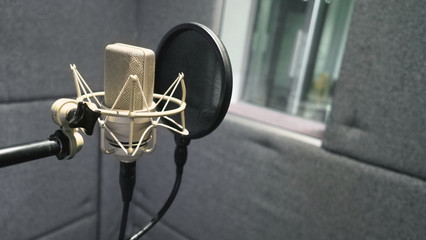 Studio microphone with shock mount and pop filter on professional tripod in acoustic foam room for...