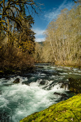 The Dosewallips River flowing on the Olympic Peninsula of Washington near Brinnon, Washington
