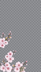 The idea of textile design, wallpaper, packaging, printing, story. Light frame vertical of sakura flowers. Handmade background in Chinese style. Rose on transparent fond.