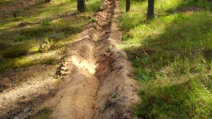 Trenches for Fire Breaks in Russian Forest