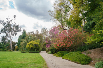 Natural scene around Huntington Library