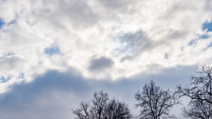 Branches of trees without leaves against a blue cloudy sky.