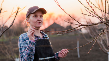 Young woman gardener examines tree branches in the garden