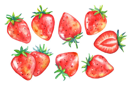 Set of watercolor hand drawn strawberries.