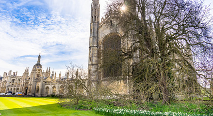 Fototapeta premium Clare & King's College with beautiful blue sky in Cambridge, UK