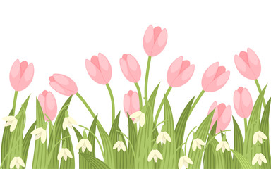 Spring pink tulip and galantus. Green flower pattern, grass. Flat vector illustration isolated on white background