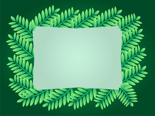 Frame for text and pictures of tropical leaves