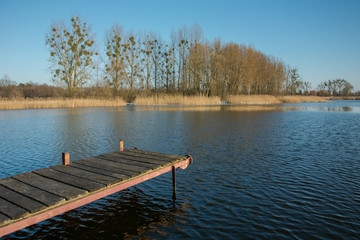 Jetty with planks on a calm lake. Trees and reeds on the shore and a clear sky