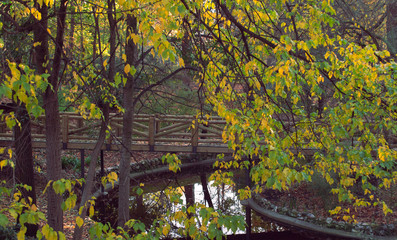 Puente, Retiro