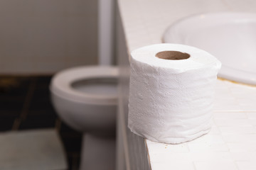 Roll of white toilet paper on the background of the toilet