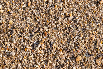 Fine wet beach stone, texture