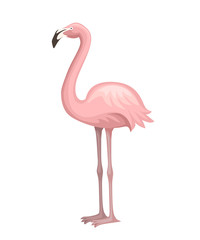 Cute animal, peach pink flamingo. Cartoon animal character design. Flat vector illustration isolated on white background. Flamingo standing on two legs