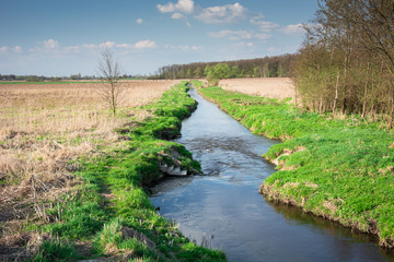 Fototapeta na wymiar Small river Uherka flowing through eastern Poland