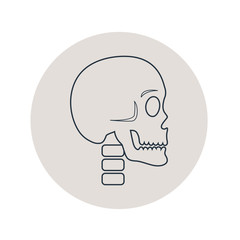 Icono plano lineal calavera en círculo color gris
