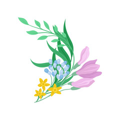 Colorful flowers on white background. Spring concept.