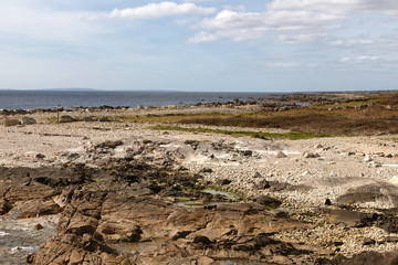 Fototapeta na wymiar Beach with rocks and vegetation in Galway Bay